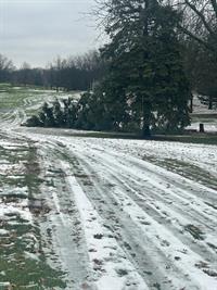 WhatsApp_Image_2025-12-10_at_11