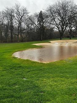 WhatsApp_Image_2026-04-03_at_11