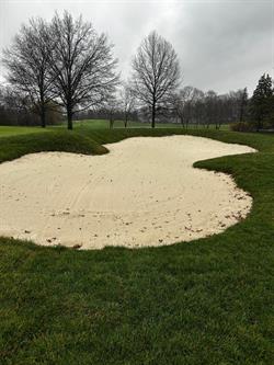 WhatsApp_Image_2026-04-03_at_11