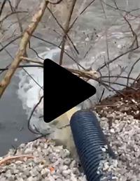 Your_Mony_ey_at_Work00001